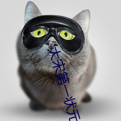 大宋(sòng)第一状元郎