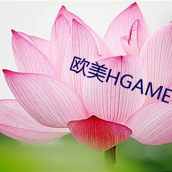 欧美HGAME （济济一堂）