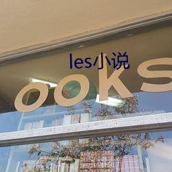 les小说