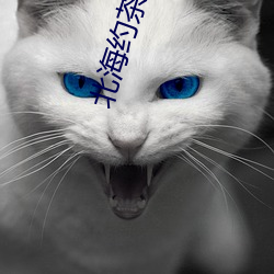 北海约茶微信(xìn)