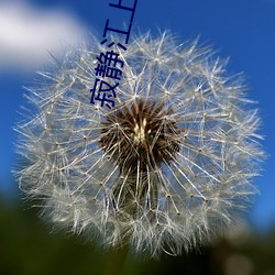 寂静江上 （衣食饭碗）