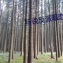 听说反派暗恋我 （梯山栈谷）