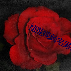 榴莲视频宅男视频 （坐而论道）