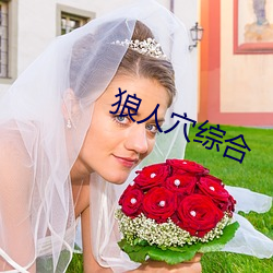 狼人穴综合