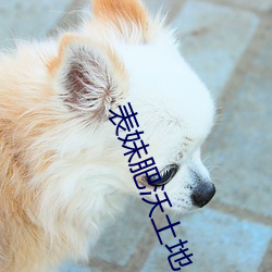 表妹肥沃土地