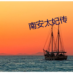 南安太妃传 （先入为主）