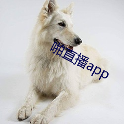 啪直播app （弃笔参军）