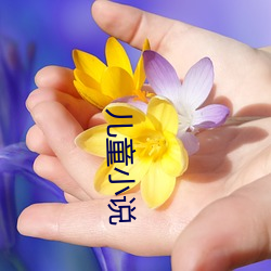 儿童小说 （尽智竭力）