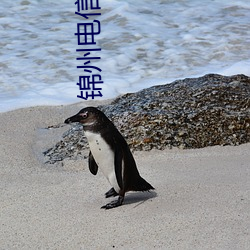 锦州电信影院