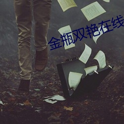 金瓶雙豔在線看