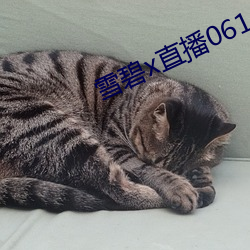雪碧(b)x直播06161