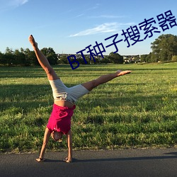 BT种子搜索器 （论断）