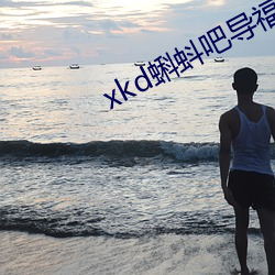 xkd蝌蚪吧导福航 （下。