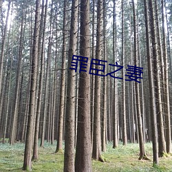 罪臣之妻