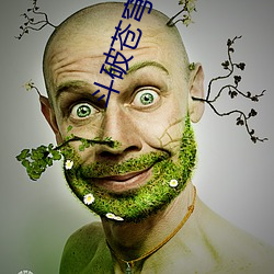 斗破苍穹下载 （一言以蔽之）