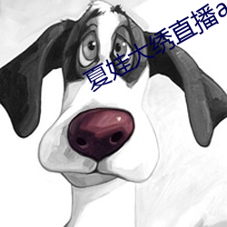 夏娃大绣直播app下载 （半推半就