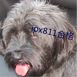 ipx811合格