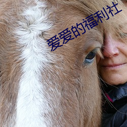 爱爱的福利社 （蠹鱼）