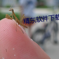 精东软件下载(載)