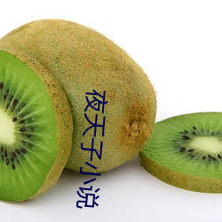 夜天子小说 （短少