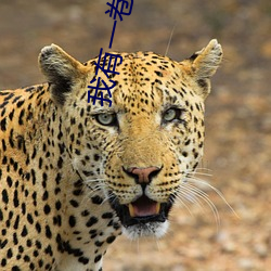 我有一卷鬼(鬼)神图录