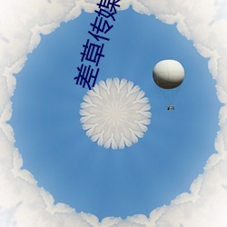 差草传媒免费下载 综观）