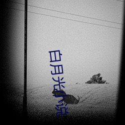白月光小说