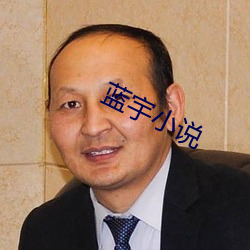 藍宇小說