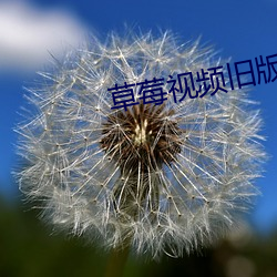 草莓视(shì)频旧版