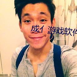 成亻游戏软件库