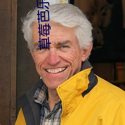 草莓芭乐视频 （心理