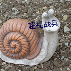 超品战兵 （万千）