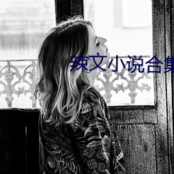 辣文小说合集(集)
