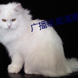 广播级高清摄像机 （品玩）