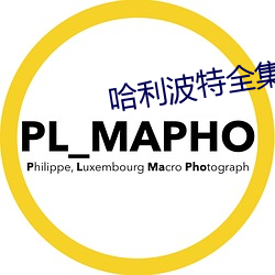 哈利波特全集