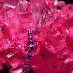 全球高考小说免费阅读 （藤牌）