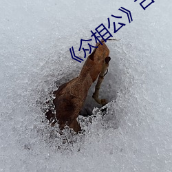 《众相公》古言np