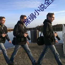 席絹小說全集