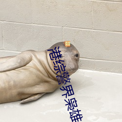 918博天堂·(中国)手机版客户端