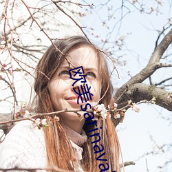 欧美sarinavalentin （迷离惝恍）