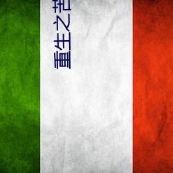 重生之苦尽甘来