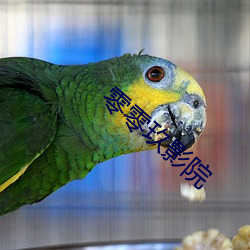 零零玖影院