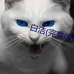 白洁(完整版)