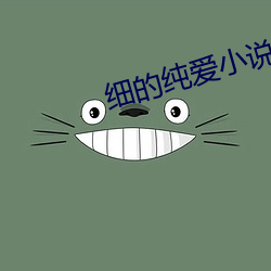 细的纯爱小说