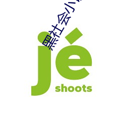 黑社会小(xiǎo)说(shuō)