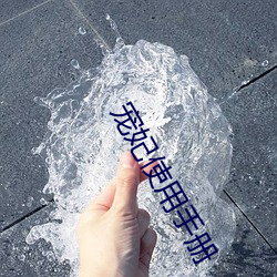 寵妃使用手冊