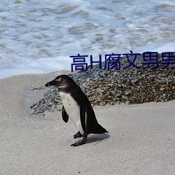 高(gāo)H腐文(wén)男男