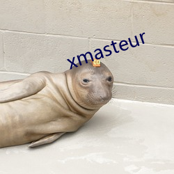 xmasteur