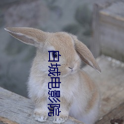 白城电影院