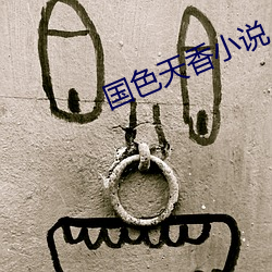 国色天香小(小)说